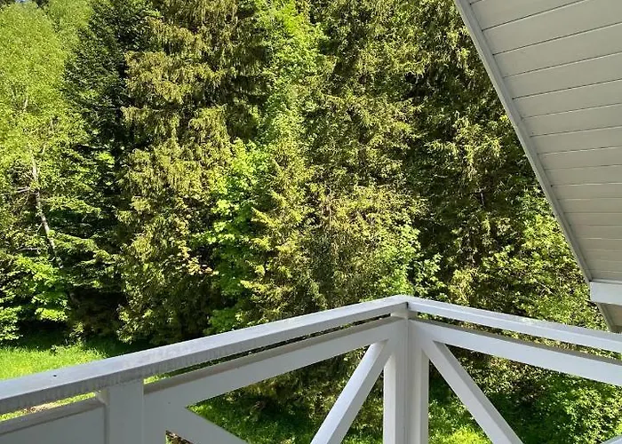 Bar-kawiarnia Basia Goscinne